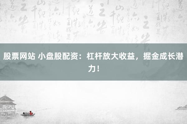 股票网站 小盘股配资：杠杆放大收益，掘金成长潜力！