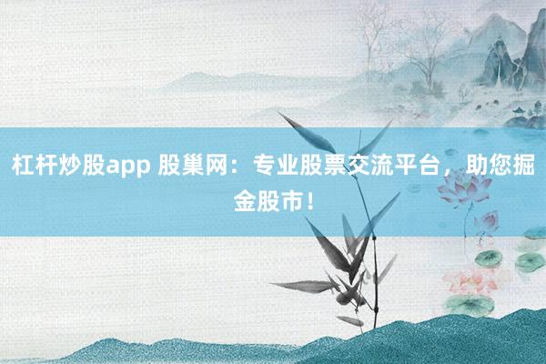 杠杆炒股app 股巢网：专业股票交流平台，助您掘金股市！