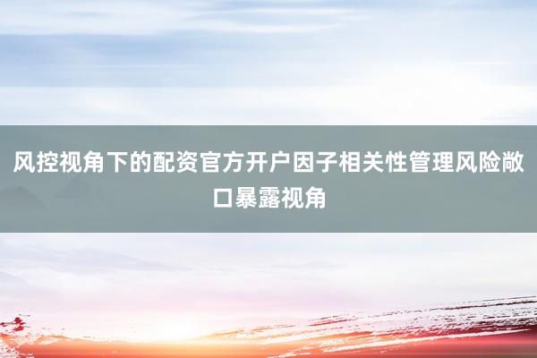 风控视角下的配资官方开户因子相关性管理风险敞口暴露视角