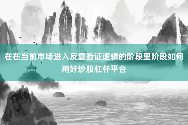 在在当前市场进入反复验证逻辑的阶段里阶段如何用好炒股杠杆平台