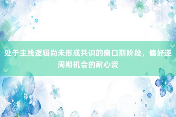 处于主线逻辑尚未形成共识的窗口期阶段，偏好逆周期机会的耐心资