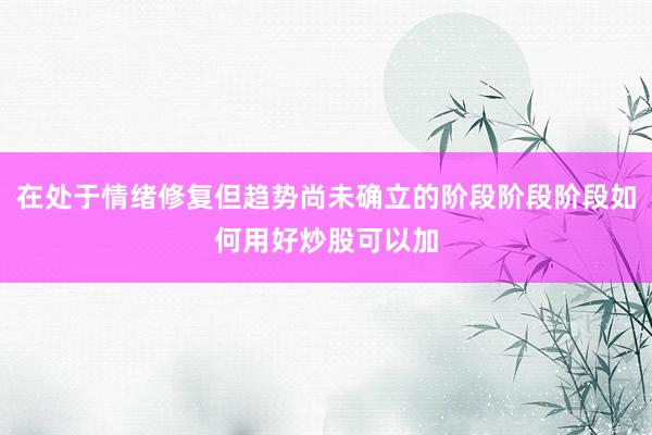 在处于情绪修复但趋势尚未确立的阶段阶段阶段如何用好炒股可以加