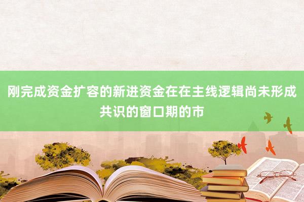 刚完成资金扩容的新进资金在在主线逻辑尚未形成共识的窗口期的市