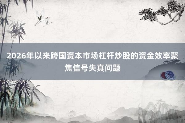 2026年以来跨国资本市场杠杆炒股的资金效率聚焦信号失真问题