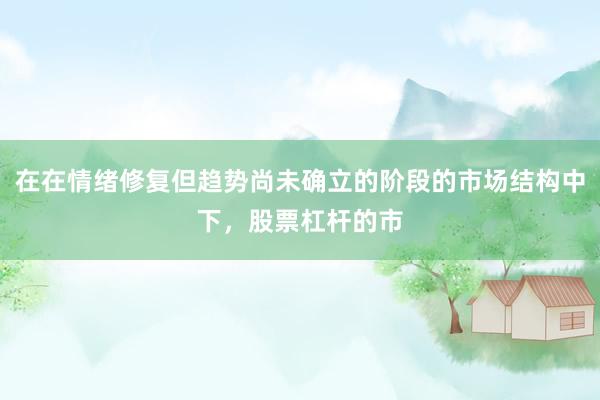在在情绪修复但趋势尚未确立的阶段的市场结构中下，股票杠杆的市