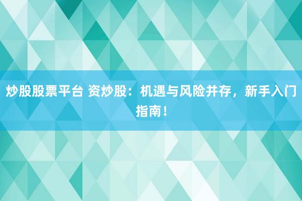 炒股股票平台 资炒股：机遇与风险并存，新手入门指南！